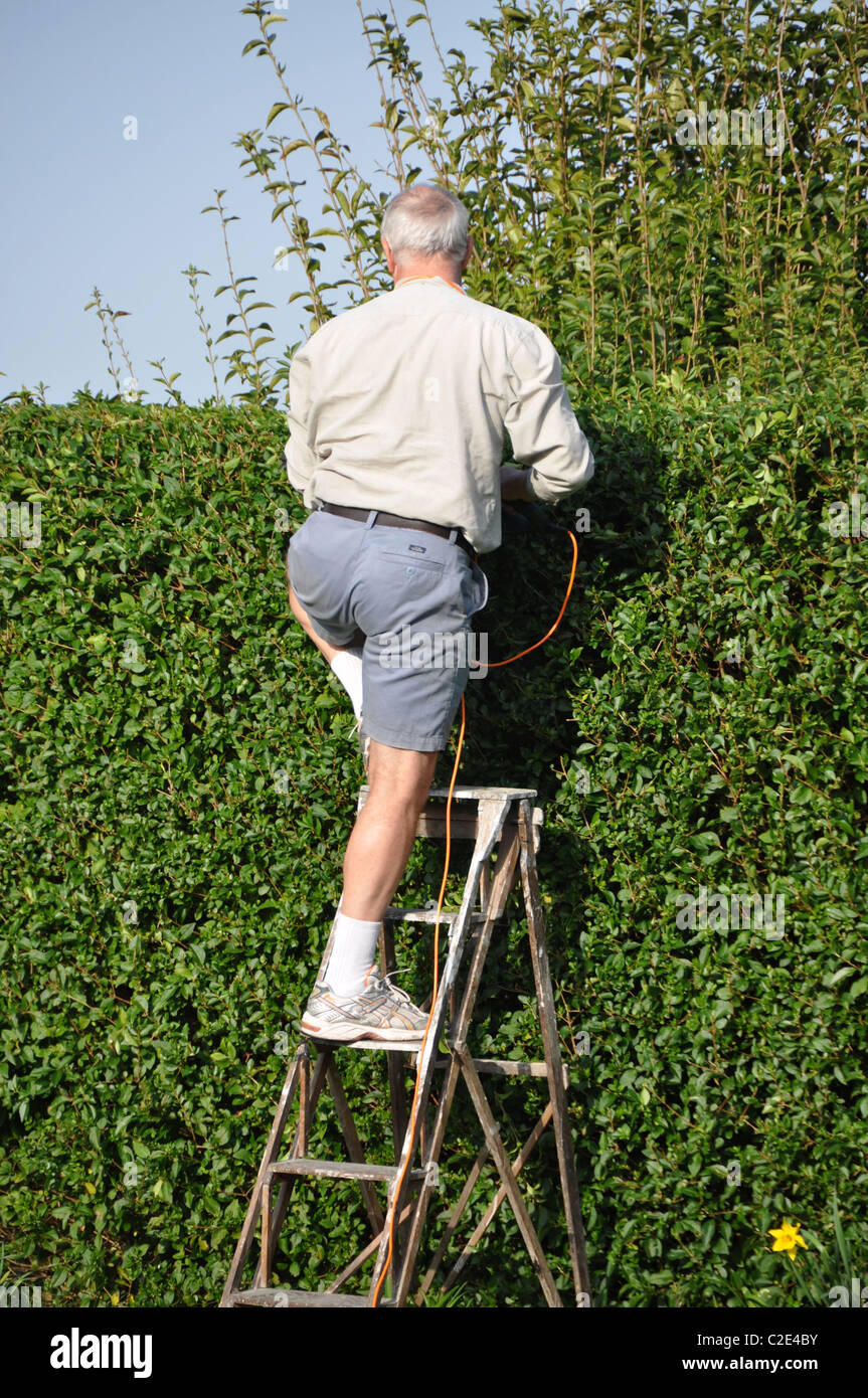Man Cutting Hedge Stock Photo Alamy