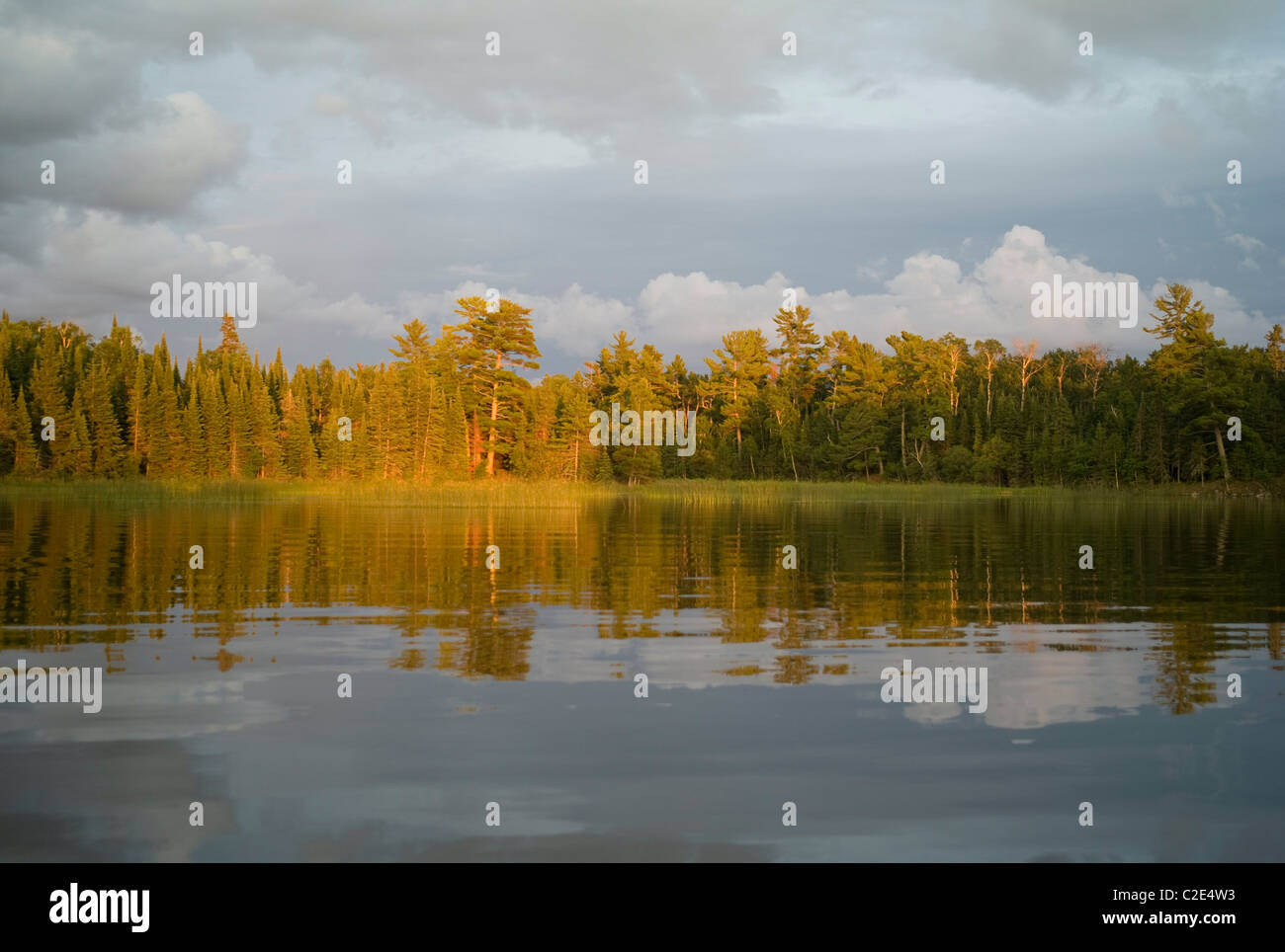 Lake Of The Woods, Ontario, Canada; View Of Forest Across A Lake Stock Photo