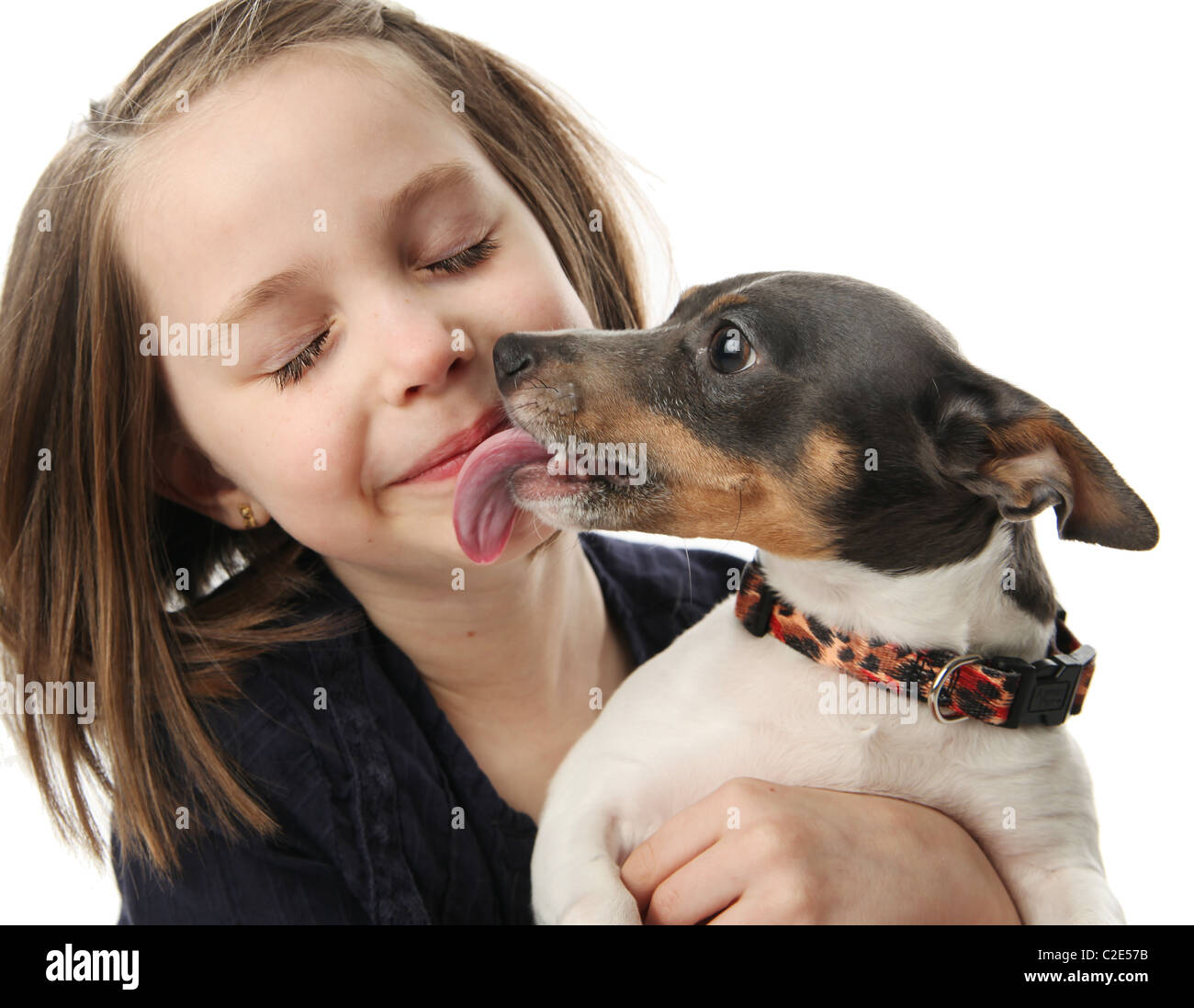 Portrait of a beautiful young girl snuggling with and being licked by a cute terrier puppy dog, isolated on white in studio Stock Photo