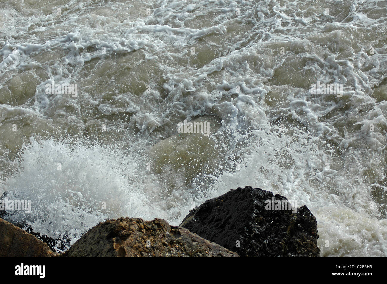 White horse swell hi-res stock photography and images - Alamy