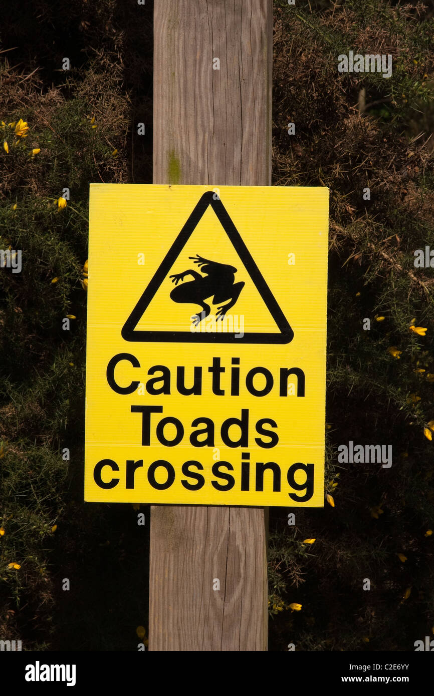 Caution Toads Crossing warning sign at roadside Stock Photo