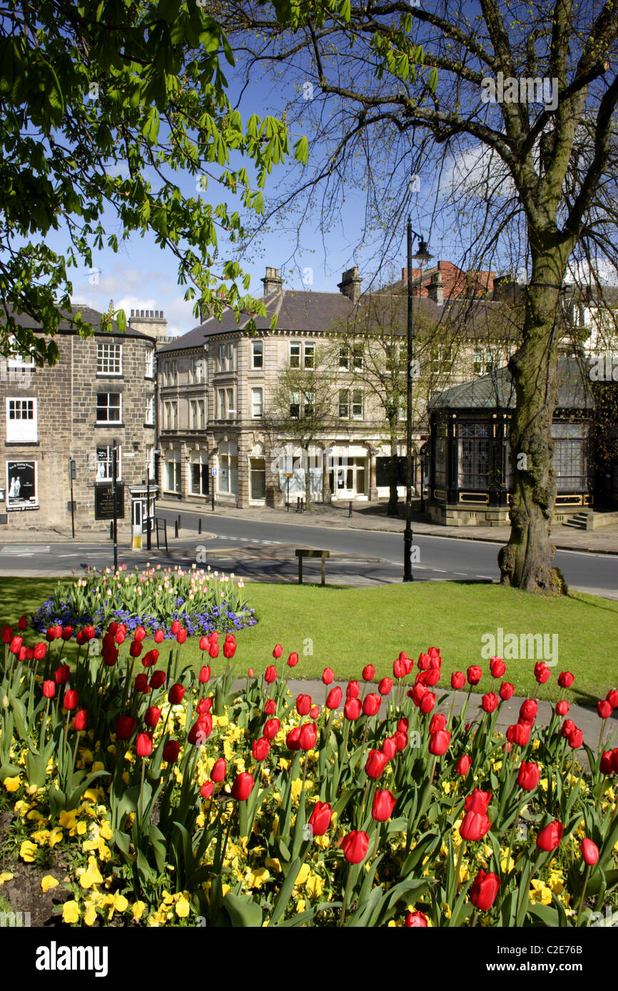 Flowers at Harrogate, Summer, North Yorkshire, UK Stock Photo Alamy