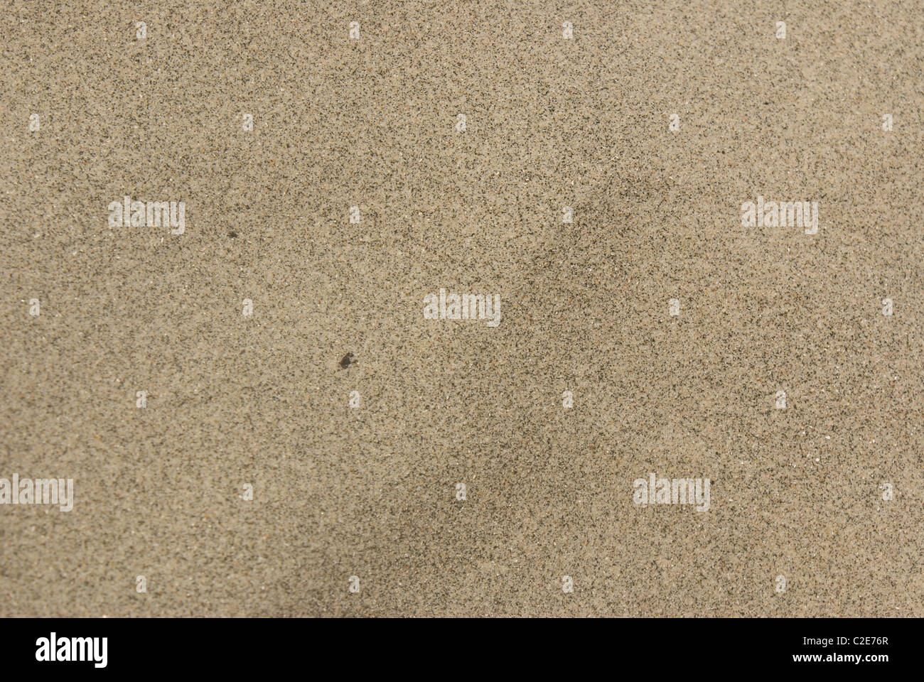 Sand grain hi-res stock photography and images - Alamy