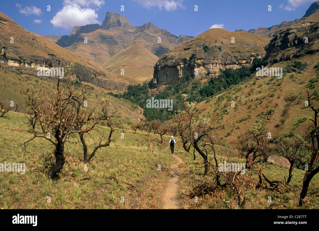 Drakensberg Kwazulu Natal South Africa Stock Photo - Alamy