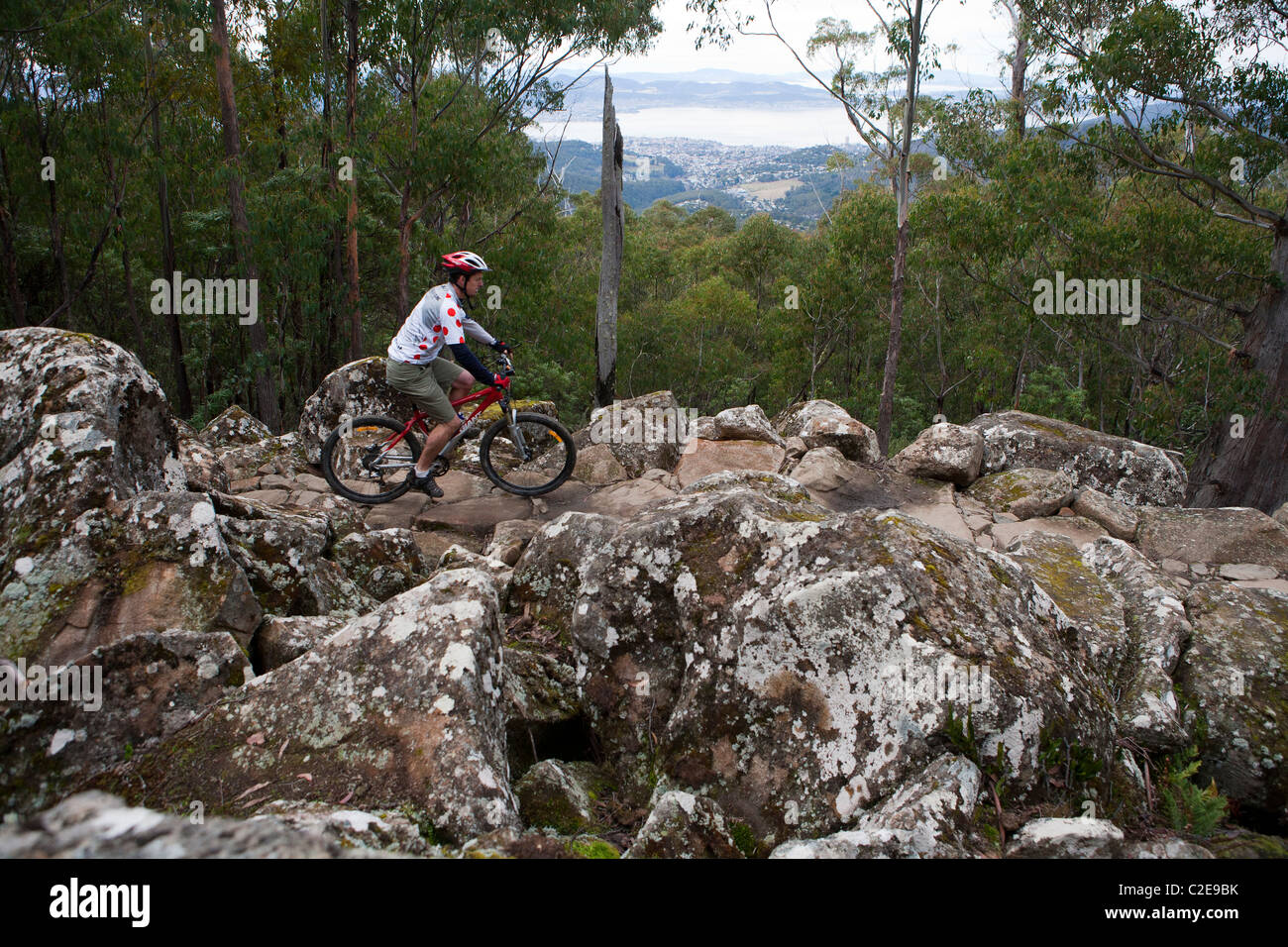 Mountain biker on the North South Track on Hobart's Mt Wellington Stock