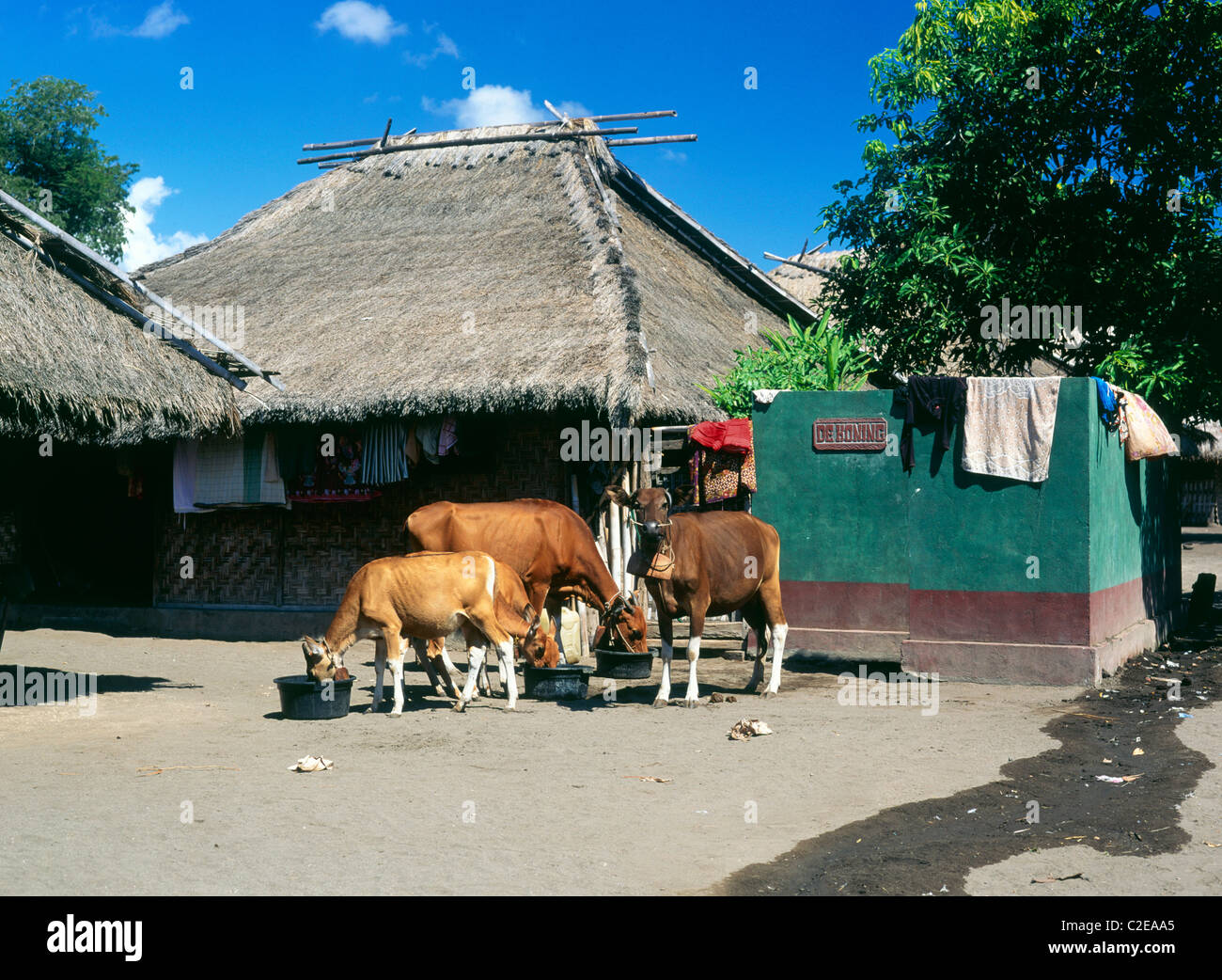 Sasak Village Lombok Indonesia Stock Photo
