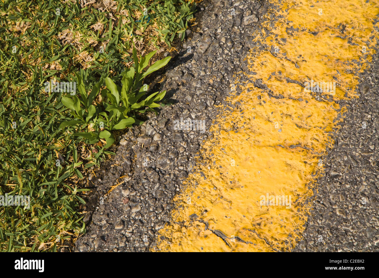 No Parking Yellow Line Stock Photo Alamy