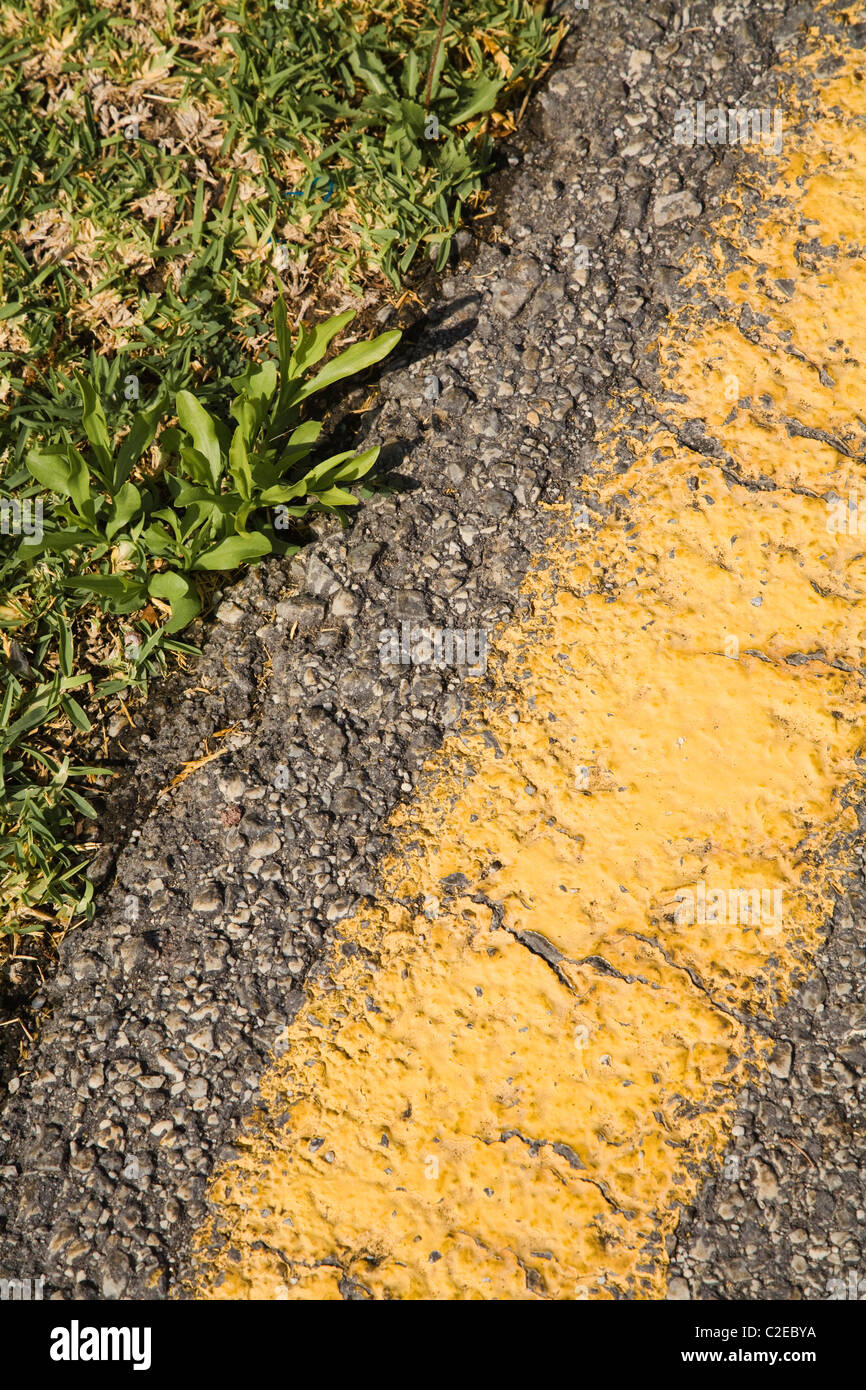 No Parking Yellow Line Stock Photo Alamy