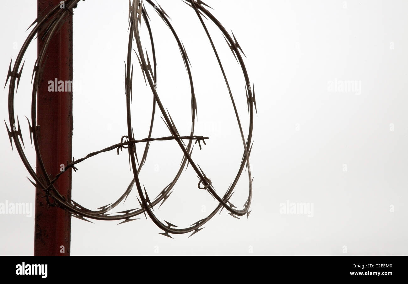 Coil barbed wire hires stock photography and images Alamy