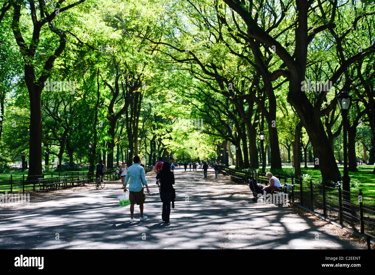 The Mall and Literary Walk with American elm trees forming canopy, pedestrian pathway, Central Park, Manhattan, NYC Stock Photo