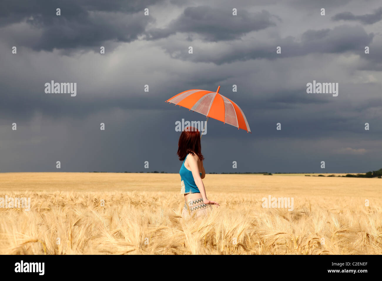 Girl with umbrella at wheat field at rainy day Stock Photo - Alamy