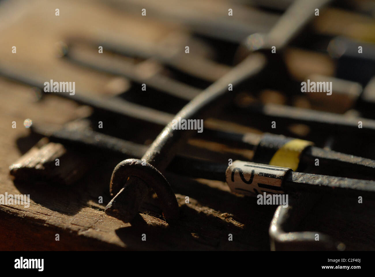 Thumb piano from Kenya Stock Photo Alamy