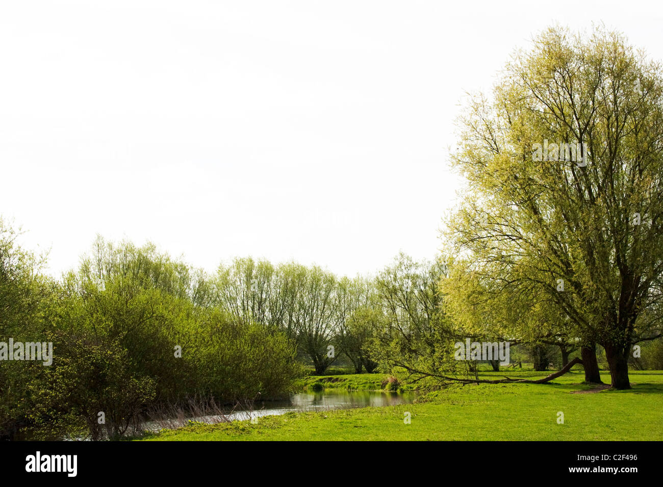 Grantchester meadows hi-res stock photography and images - Alamy