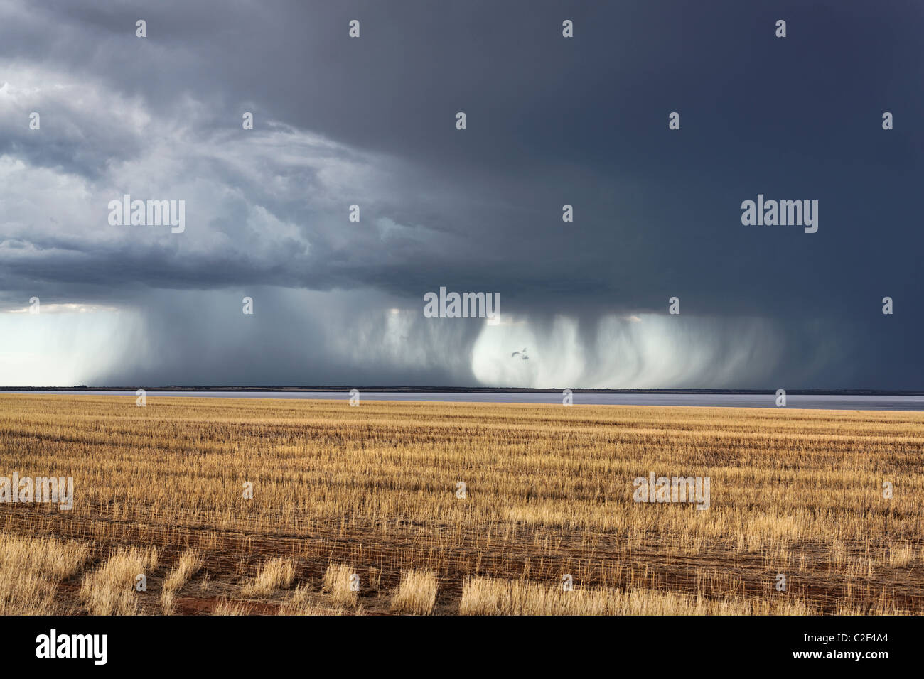 Storm over Farmland and Yarra Yarra Lake, Carnamah Western Australia Stock Photo