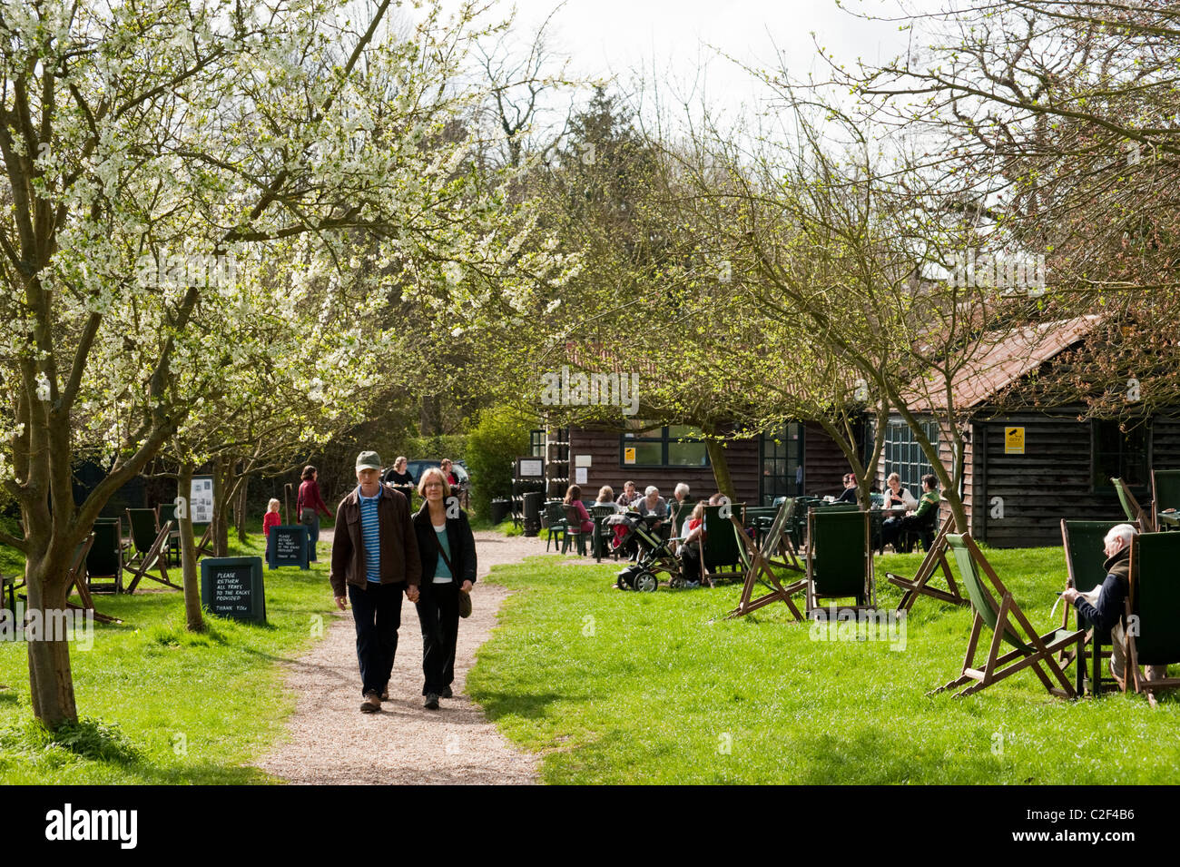 The Orchard tea garden in Grantchester is a Cambridge institution Stock