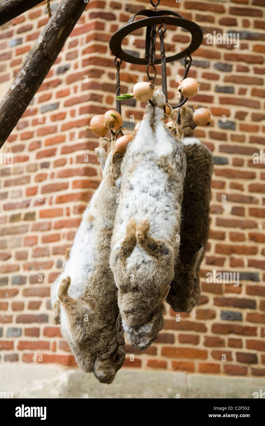 Rat meat / rats hanging / hang. A mediæval / mediaeval / medieval