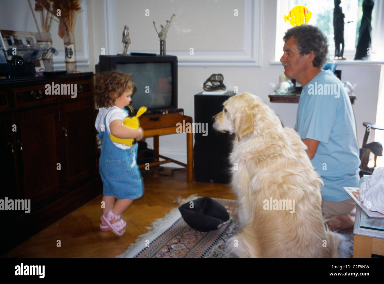 18 Month Old Girl With Grandfather & Dog Stock Photo