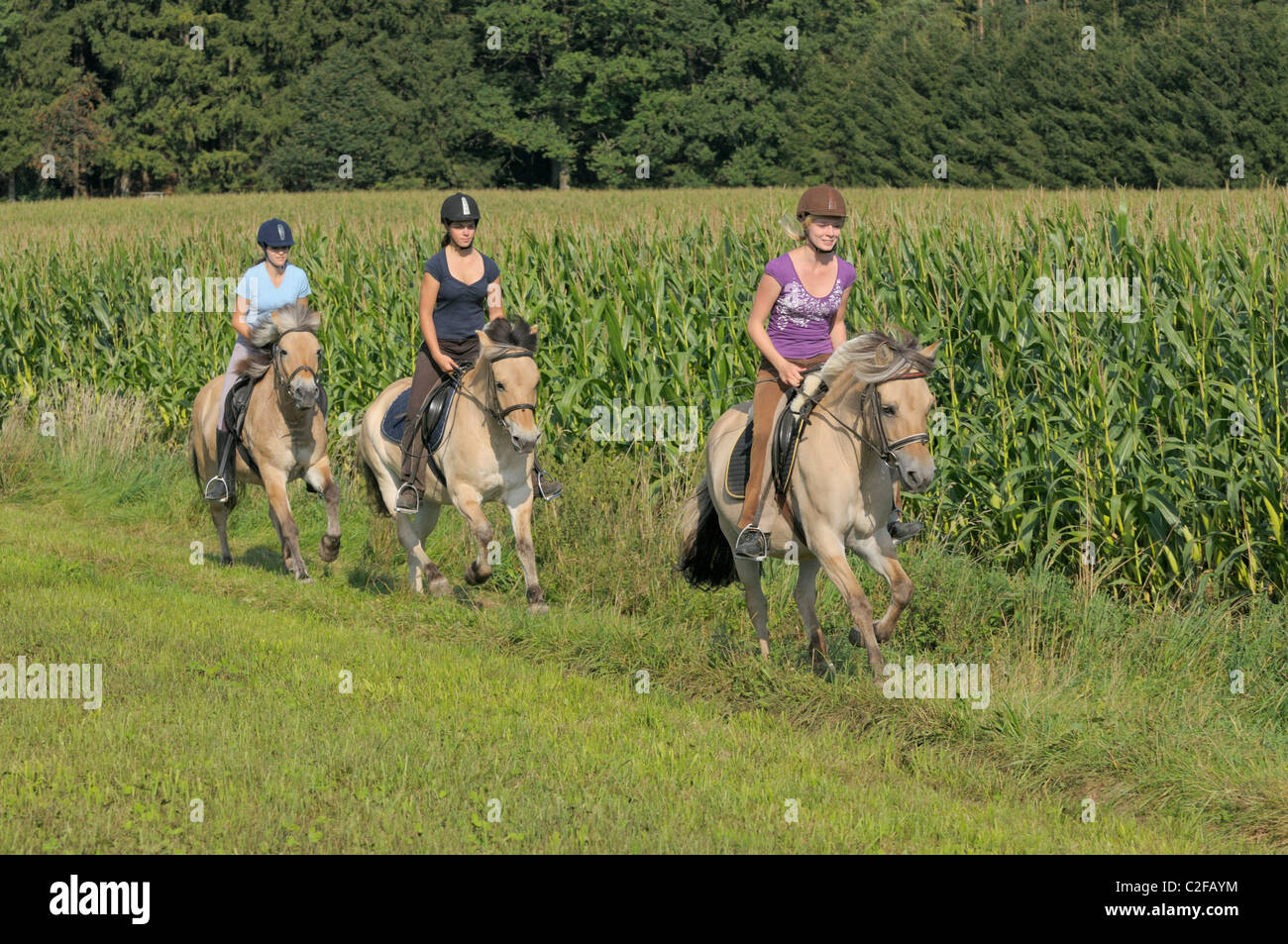 Teen Horse Riding Group High Resolution Stock Photography and Images ...