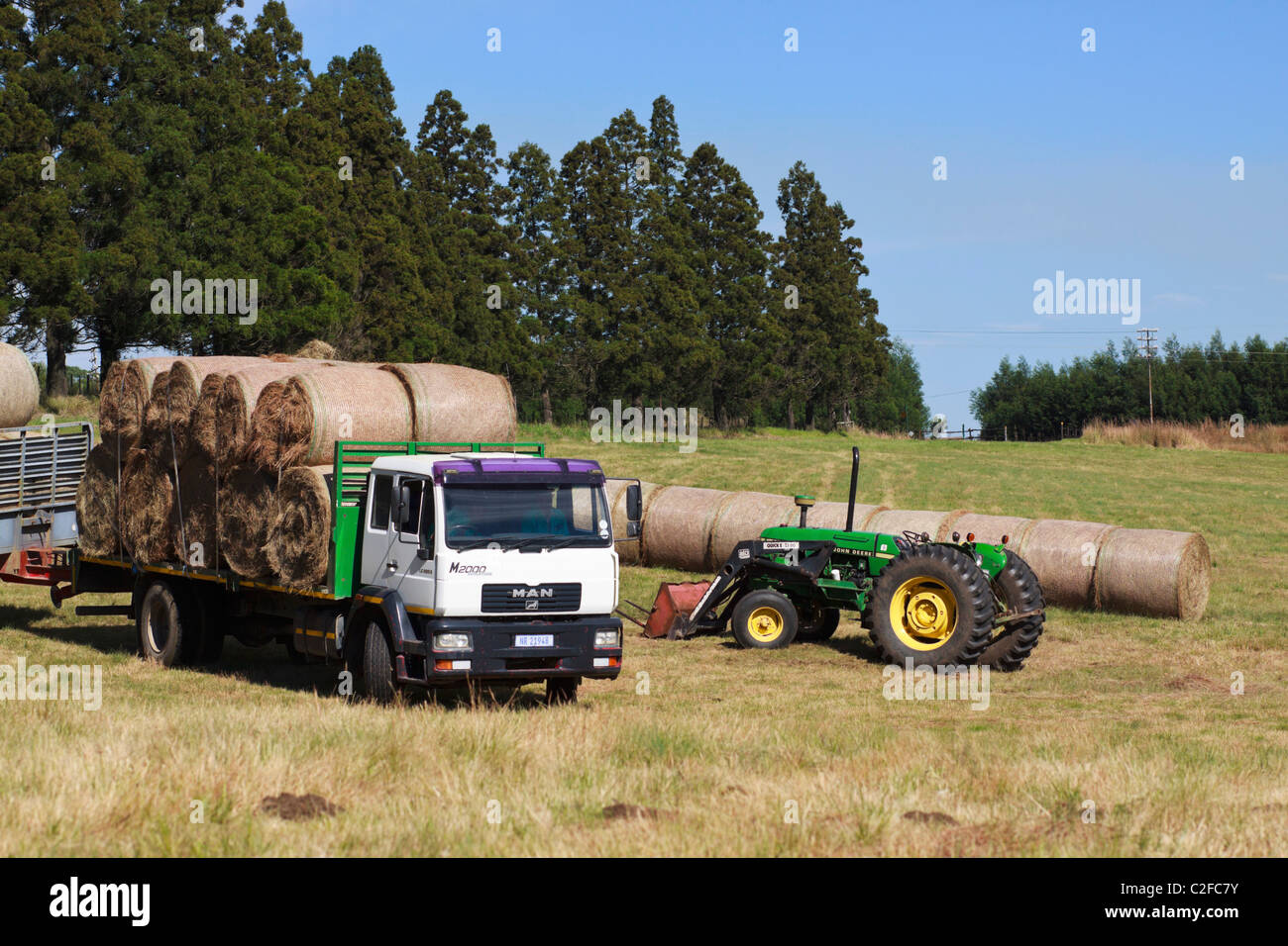 Bales of farmland hay loaded onto a truck with a tractor. KwaZulu Natal, South Africa. Stock Photo