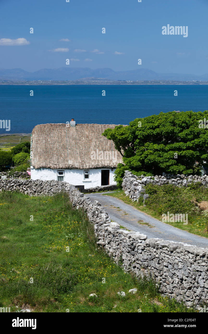 White-washed thatched cottage with dry stone walls and Galway Bay behind Stock Photo