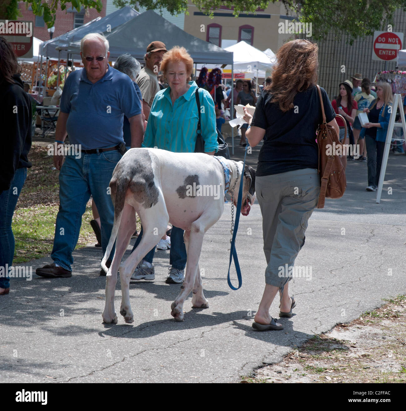 Old lady sale walking great dane