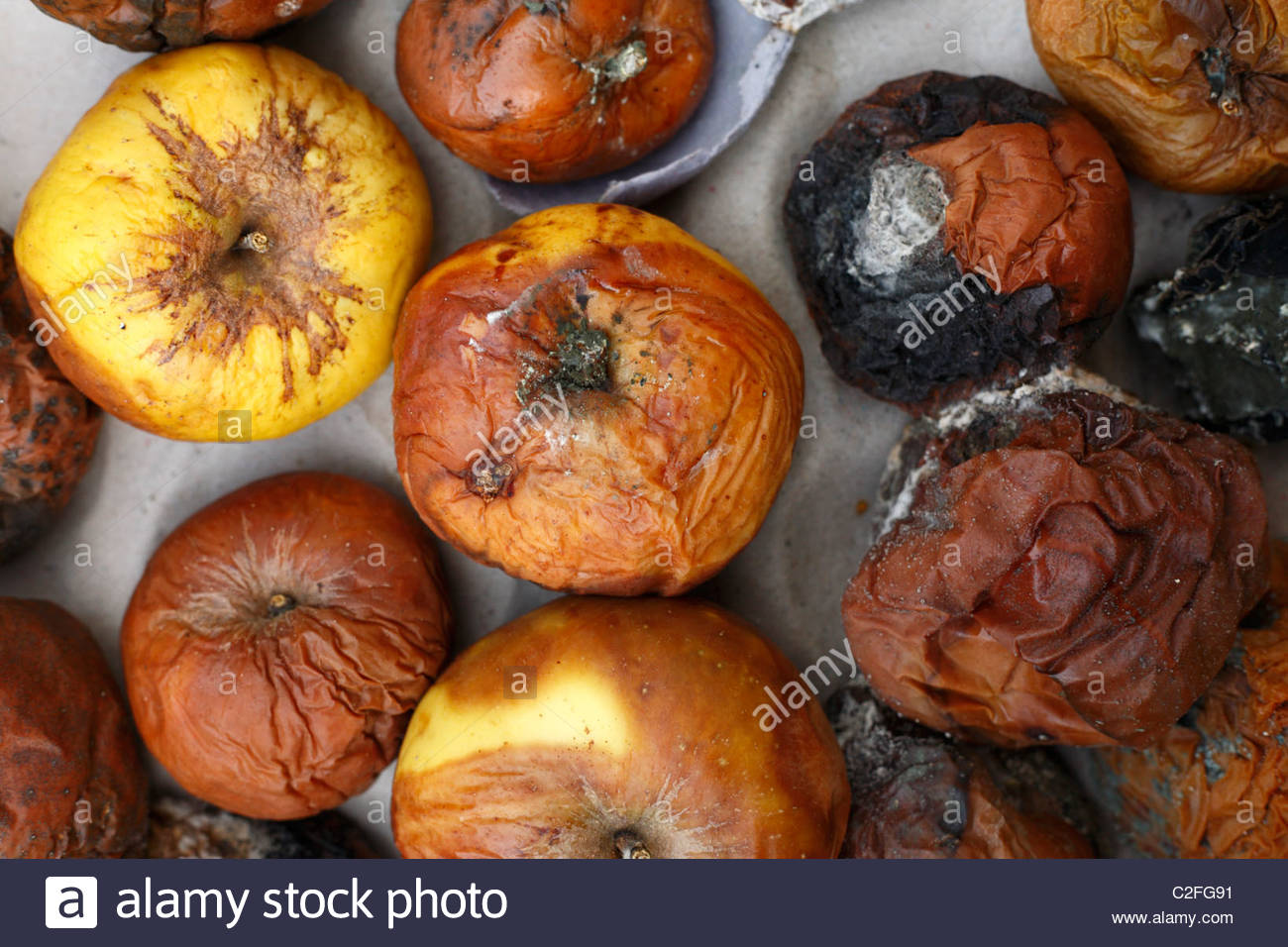Mouldy Apple Stock Photos & Mouldy Apple Stock Images Alamy