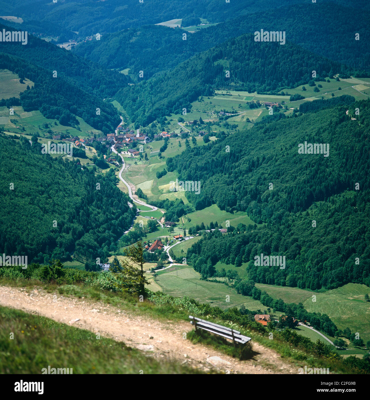 Valley Black Forest Germany Stock Photo Alamy