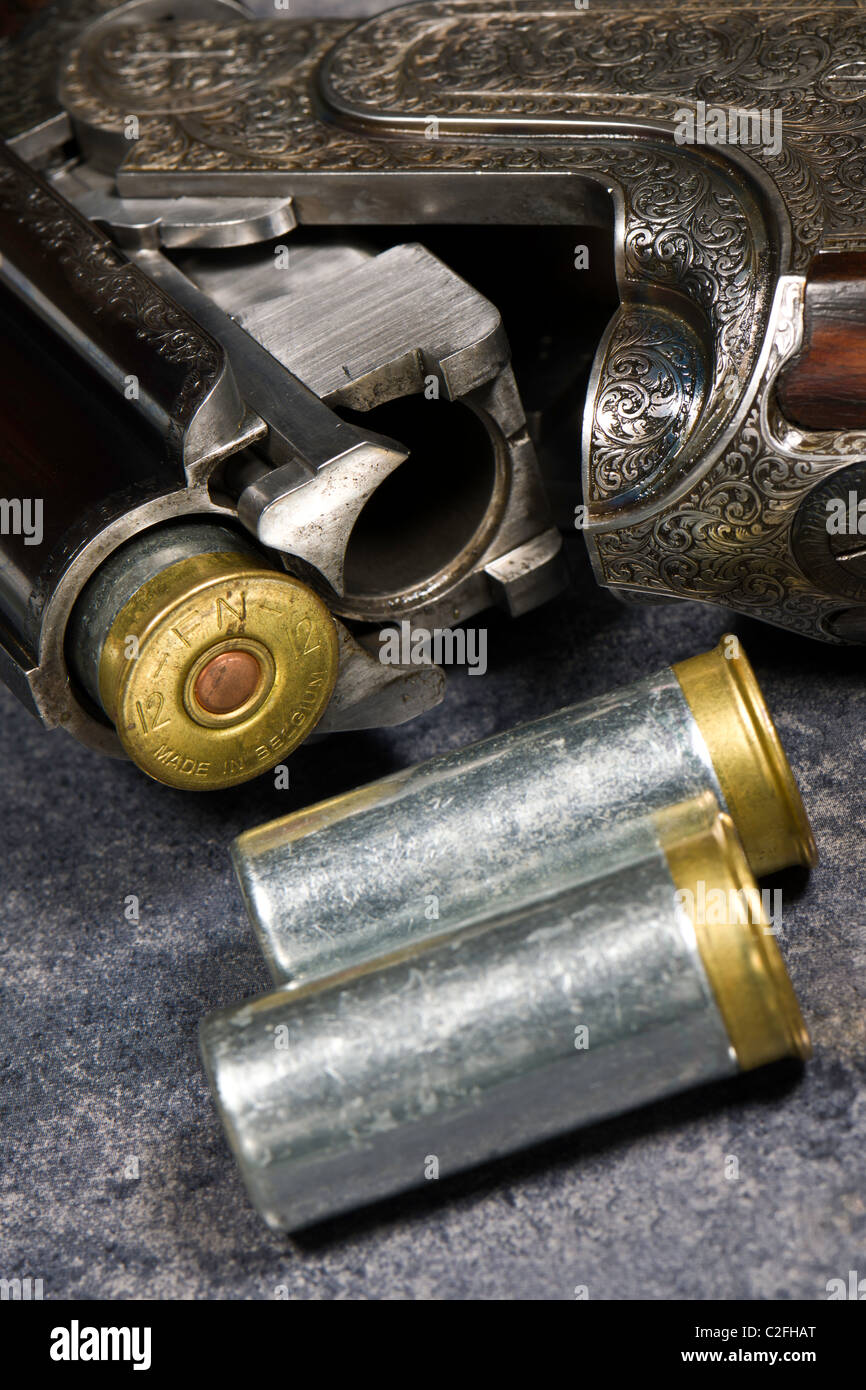 Holloway & Naughton Shotgun with vintage cartridges Stock Photo