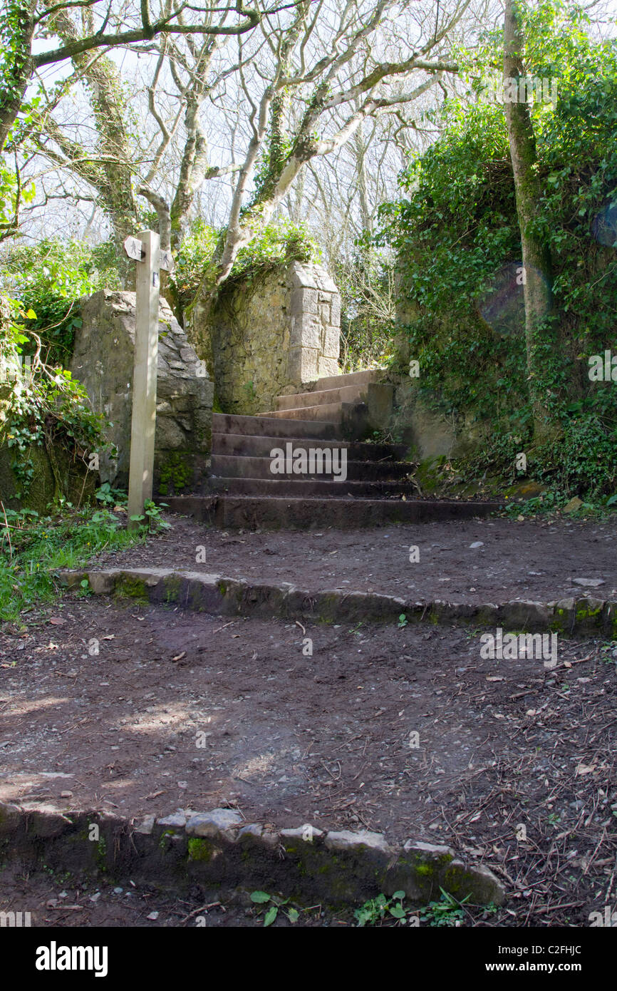 Steps on the pembrokeshire coastal path at stackpole Stock Photo