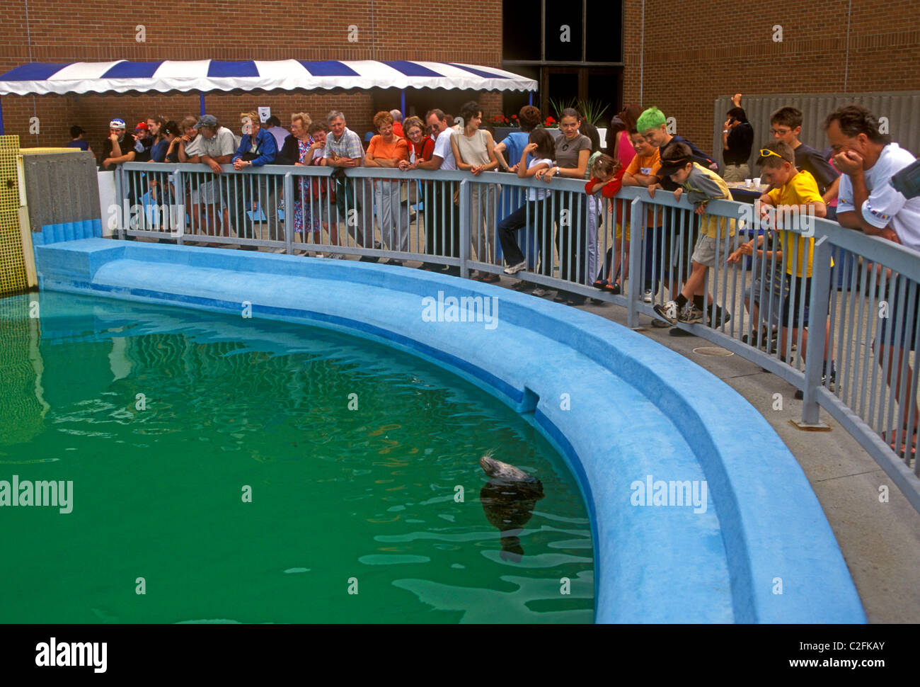 People visit Aquarium and Marine Centre town of Shippagan New Brunswick Province Canada North America Stock Photo