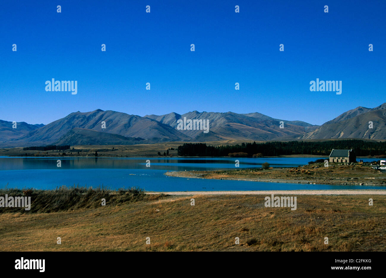 Tekapo South Island New Zealand Stock Photo - Alamy