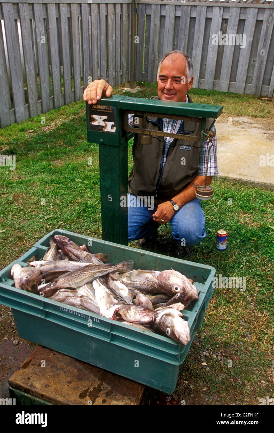 1, one, FrenchCanadian, Canadian, man, fisherman, weighing fish