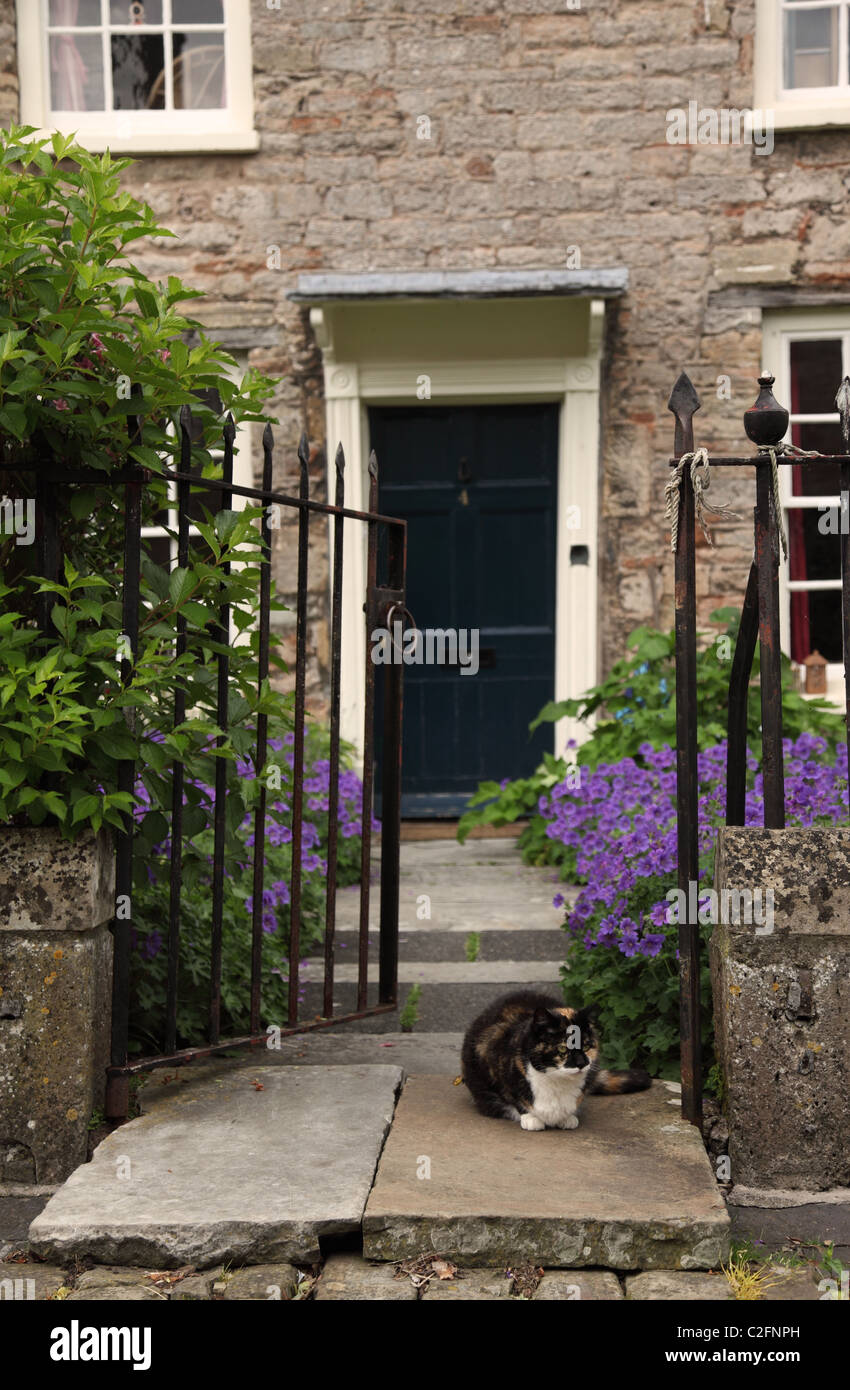 Cat sat on step outside of a house in Vicars Close, City of Wells