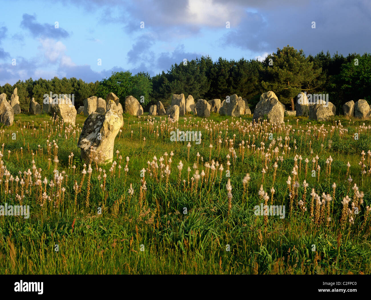 Carnac Brittany France Stock Photo - Alamy