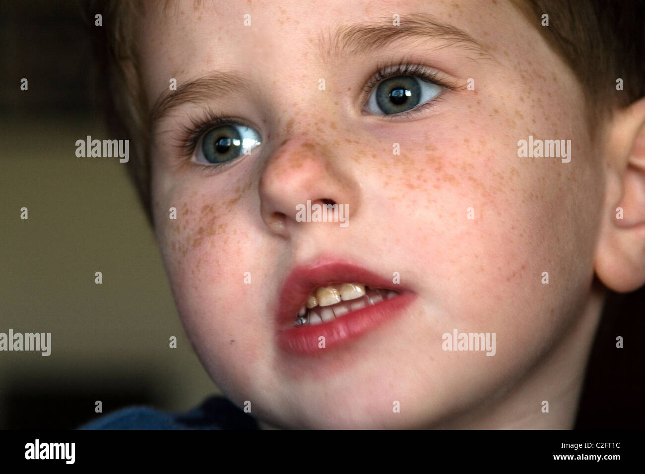 Portrait of a 4 year old boy as he's playing. Stock Photo