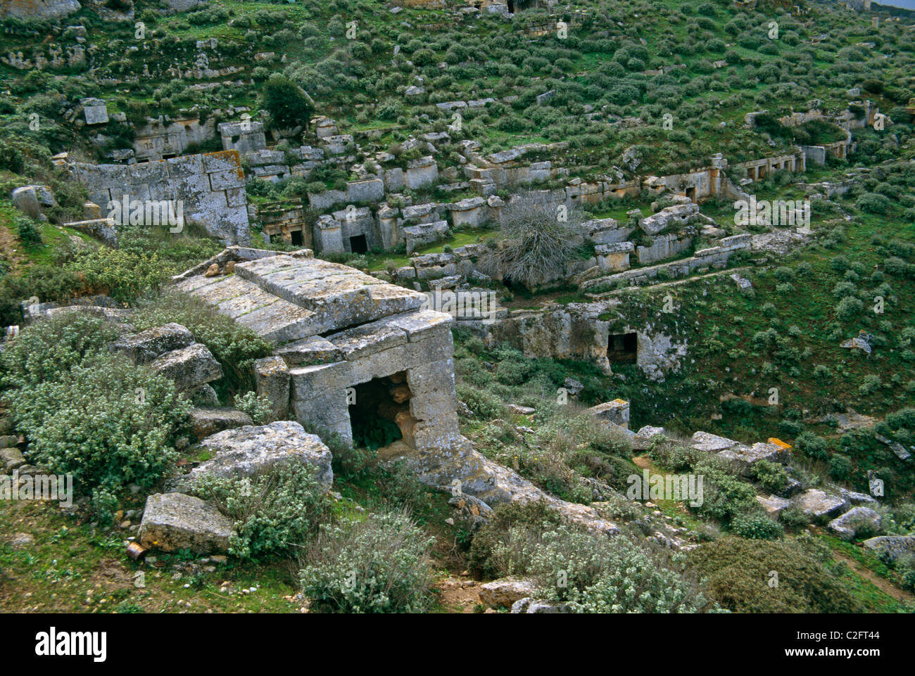 Cyrenaica Stock Photos & Cyrenaica Stock Images Alamy
