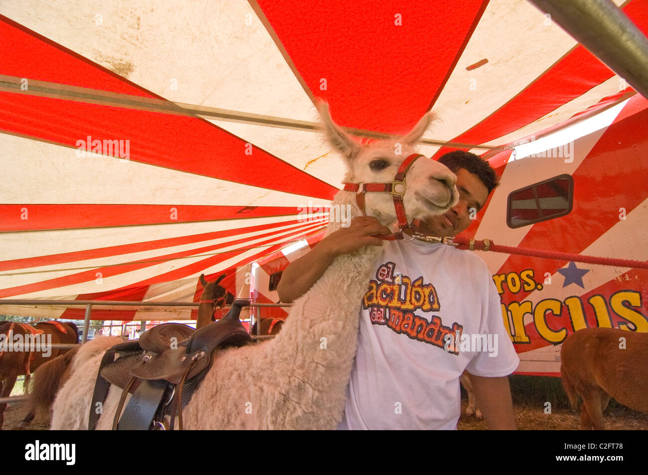 The Ramos Circus Tent Stock Photo 35998348 Alamy