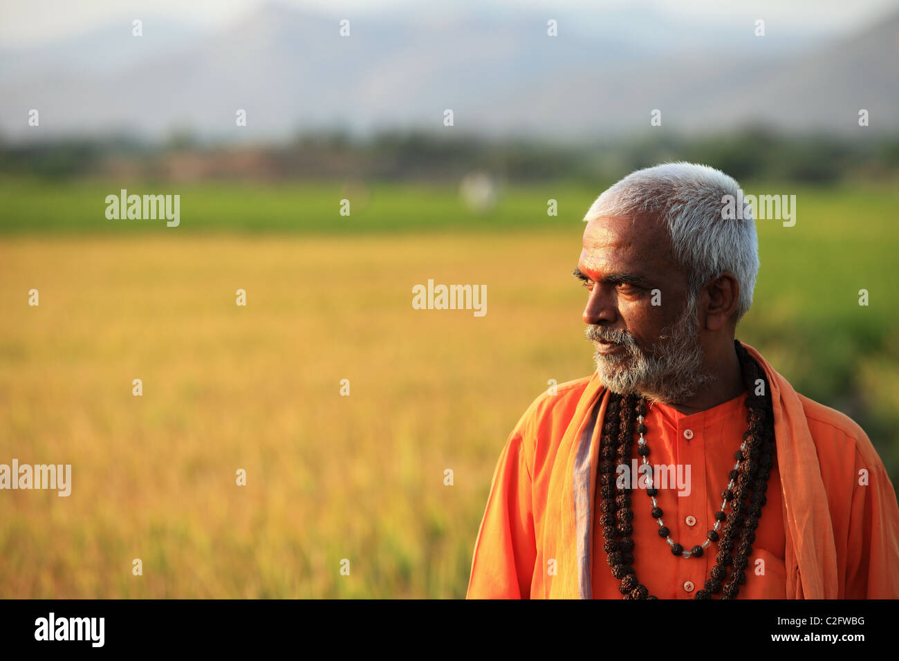 Indian man in sadhu dress walking in a paddy field Andhra Pradesh South ...