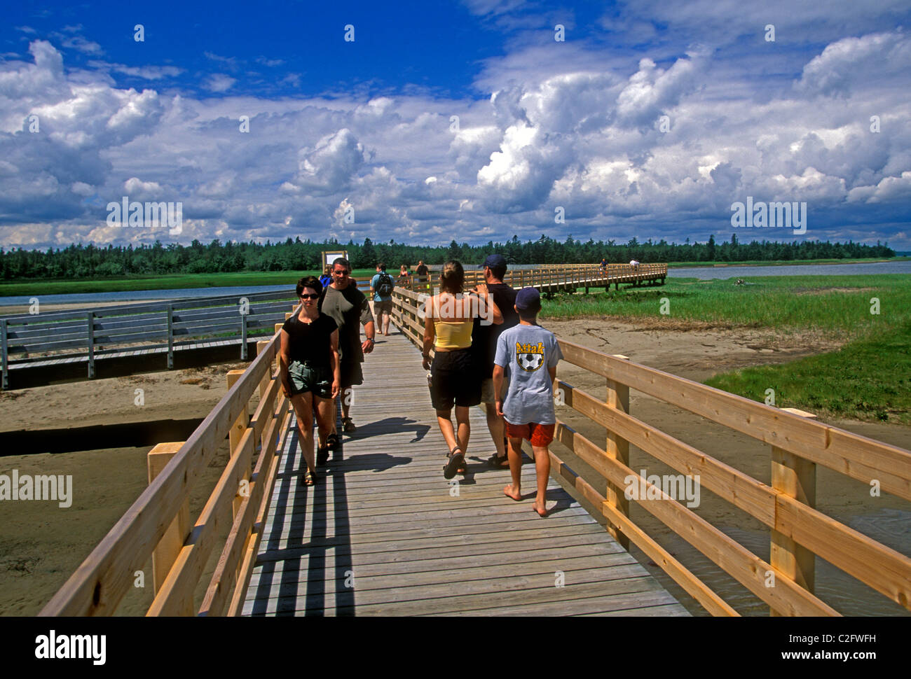 People, tourists, boardwalk trail, Kouchibouguac National Park, near, Richibucto, New Brunswick Province, Canada Stock Photo