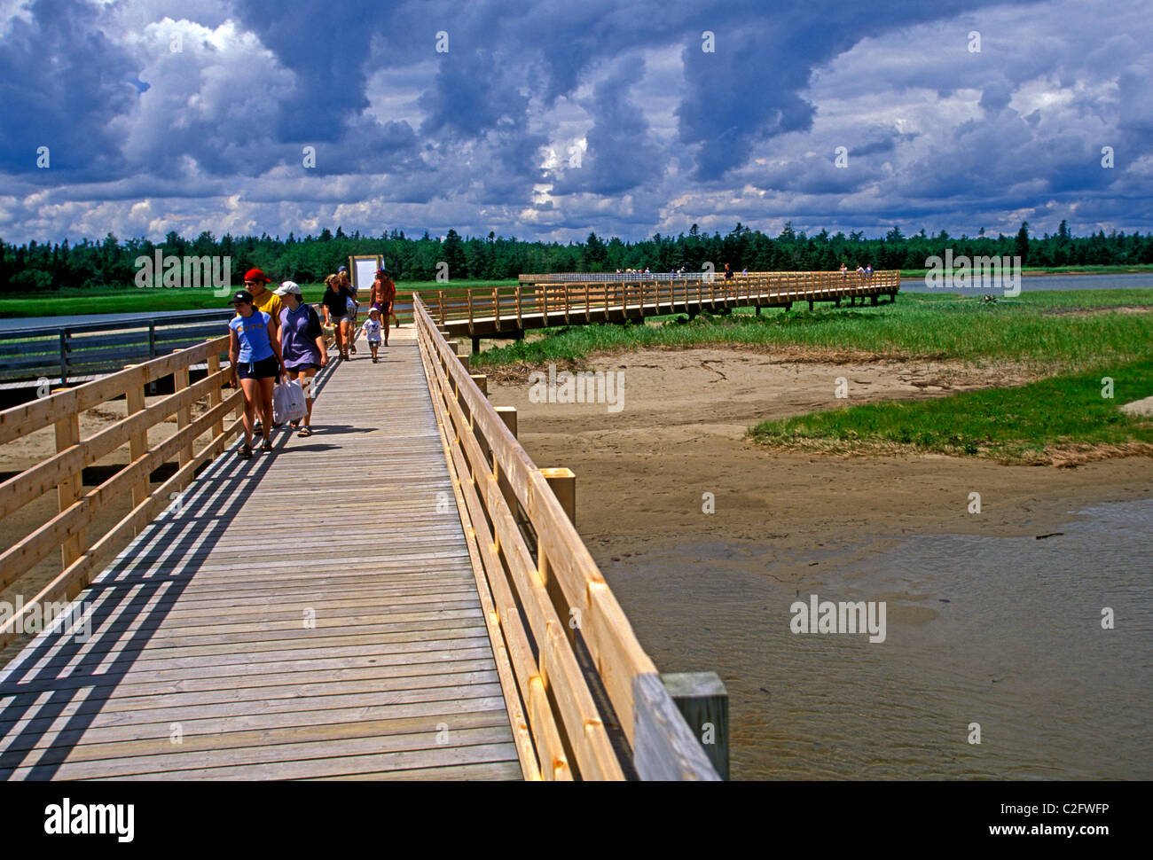 People, tourists, boardwalk trail, Kouchibouguac National Park, near