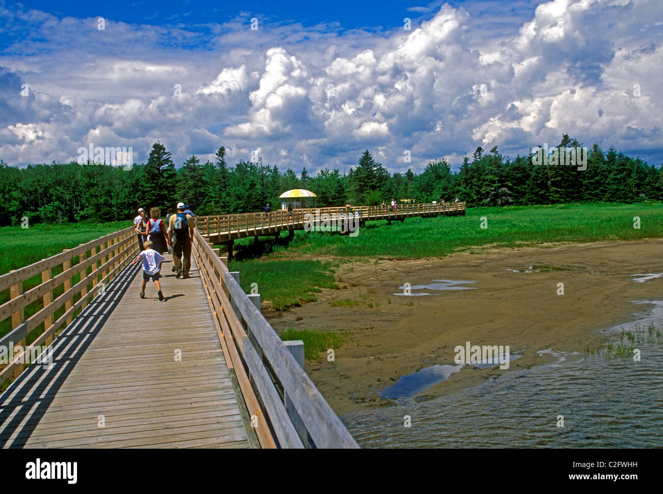 People, tourists, boardwalk trail, Kouchibouguac National Park, near