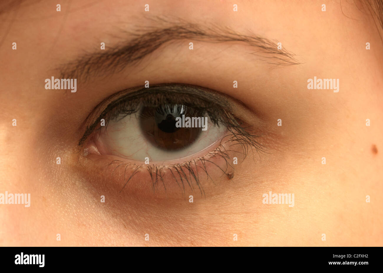 Close Up Of An Eye (Brown) Stock Photo
