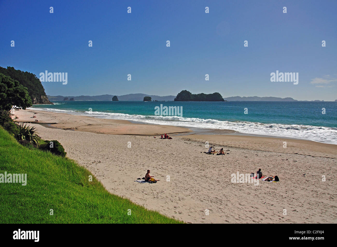 Hahei Beach, Hahei, Coromandel Peninsula, Waikato Region, North Island, New Zealand Stock Photo