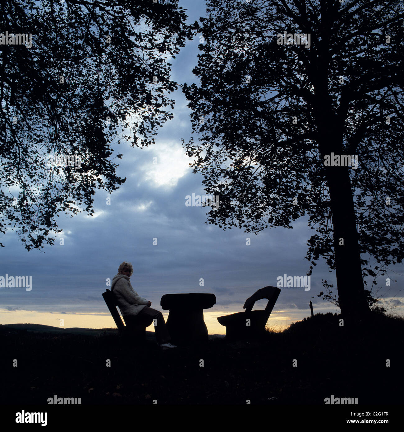 Eighties, symbolism, loneliness, young woman sitting on a bench under a tree, another bench is vacant, vacant seat, table, evening mood, sunset, dark clouds, backlight, silhouette, aged 25 to 35 years, Elizabeth, Bergisches Land, Nordrhein-Westfalen, NRW Stock Photo