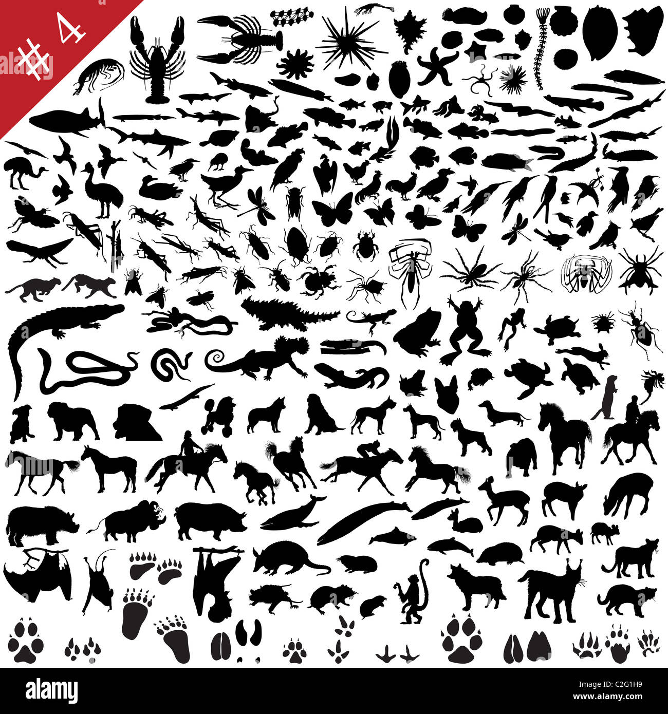 # 4 set of different animals, birds, insects and fishes vector silhouettes  Stock Photo