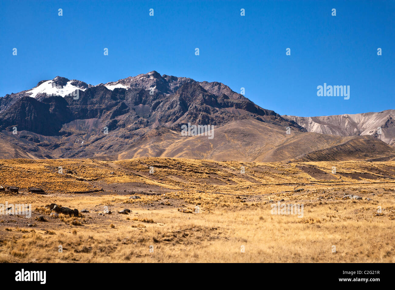 Altiplano or High Plain or Plateau of the Andes near Puno on Lake Titicaca in Peru, South America Stock Photo