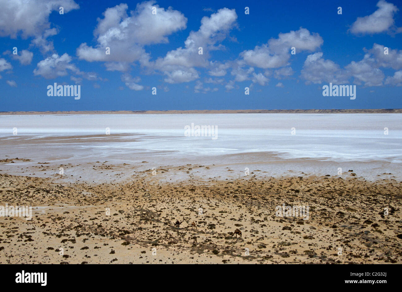 Sebka Form Sebka Oumm Debua Western Sahara Stock Photo - Alamy