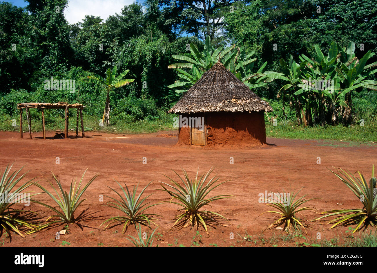 Village House Congo Stock Photo Alamy