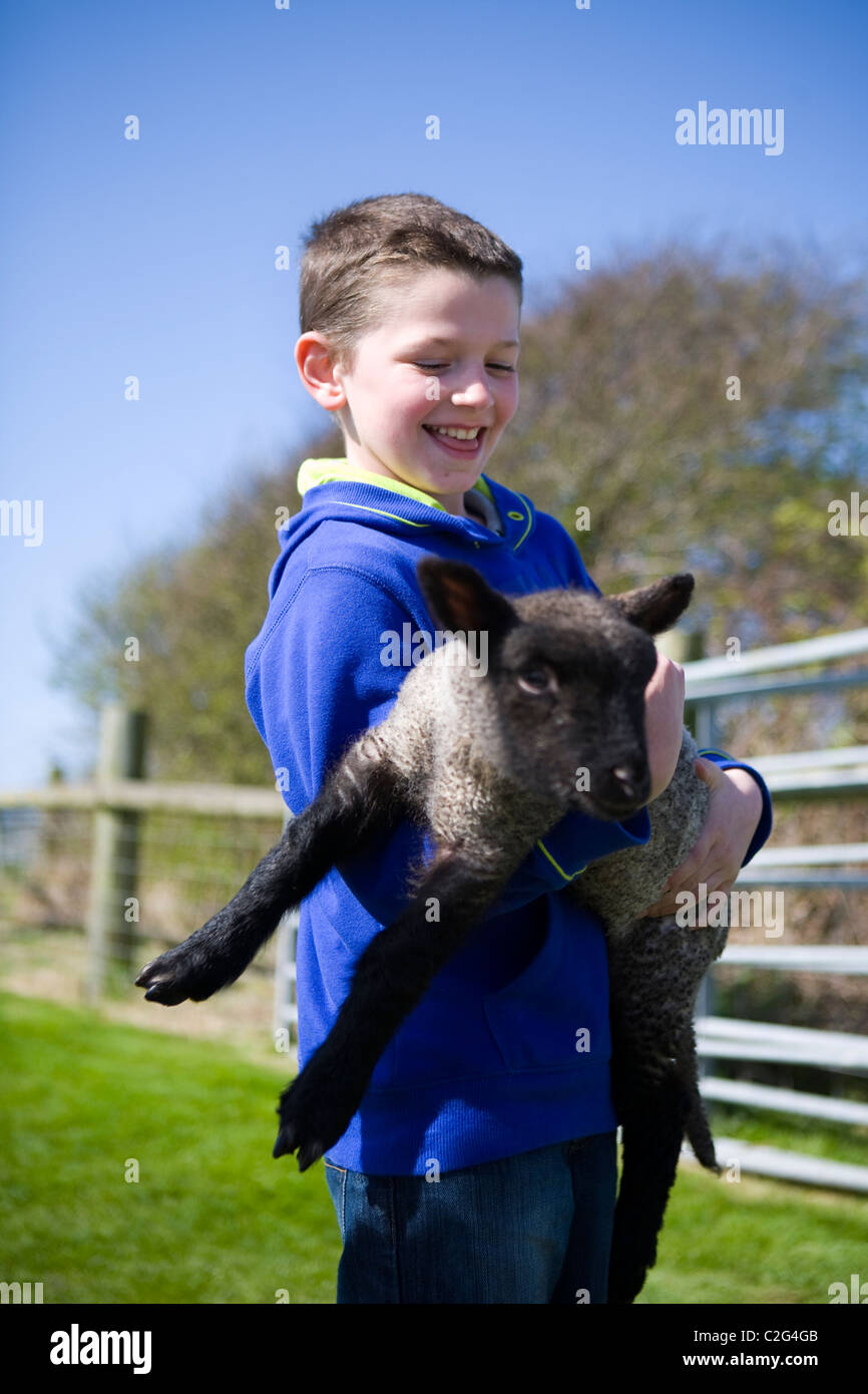 Portrait of young boy (MR) at Farmer Parrs Animal petting Farm carrying spring lamb, Blackpool,  Lancashire UK. Stock Photo