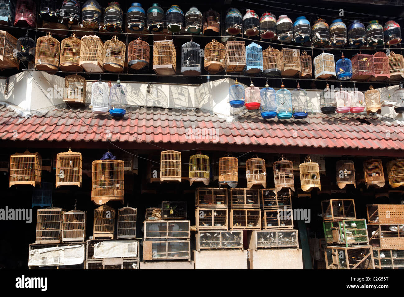 Pramuka bird market, Jakarta, Indonesia, March 2011 Stock Photo